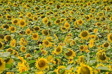 《骷髅女孩：再次返场》更新上线 修复敏感内容好评下降